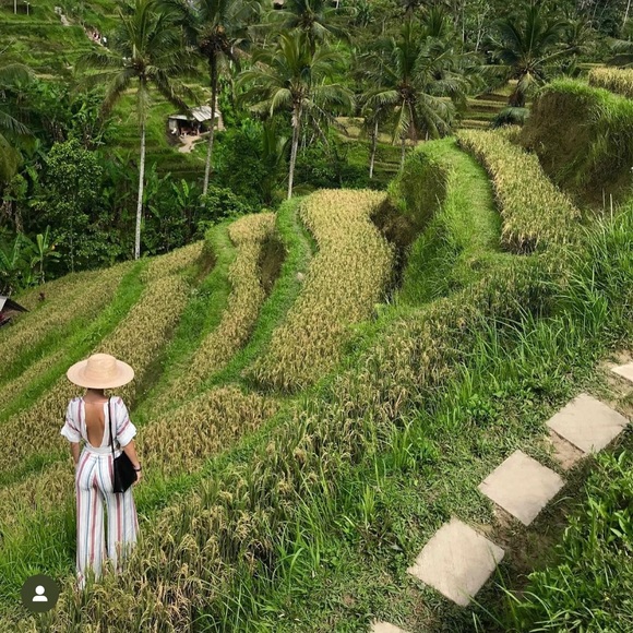 Rove Swimwear Resort Wear - Picture 12 of 12